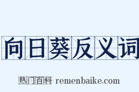 向日葵反义词是什么意思的图片